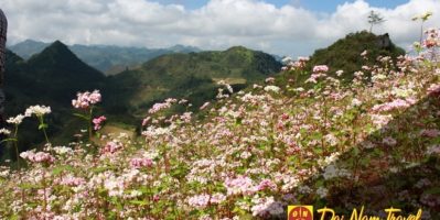 Tour du lịch Hà Giang Đồng văn Mèo Vạc 2/9