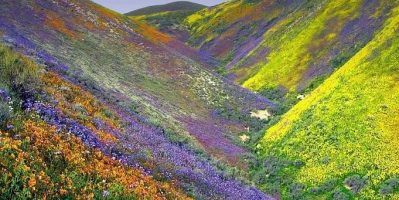 Thời Điểm Thích Hợp Để Đi Đên Đà Lạt