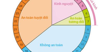Cách tính ngày rựng trứng trong tháng đơn giản, chính xác