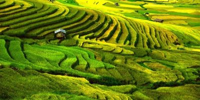 Du lịch Mù Cang Chải tháng 9 nhìn thời khắc thu vàng