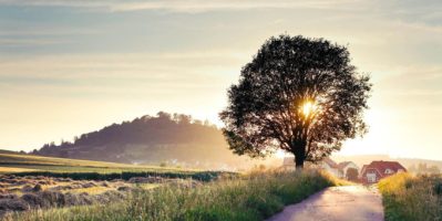 Lý Do Người Nga Thích Nghỉ Hè Ở Quê Hơn Đi Nước Ngoài