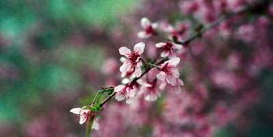 Kinh Nghiệm Du Lịch Phượt Điện Biên