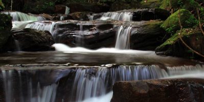 Đến Với Suối Tranh Phú Quốc Để Ngắm Vẻ Đẹp Hoang Sơ Nơi Đây