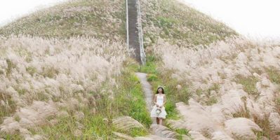 Đẹp Ngây Ngớt Trước Vẻ Đẹp Bình Liêu Mùa Cỏ Lau