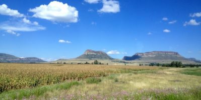 Lạc lối giữa cánh đồng hoa phủ kín hoang mạc ở đất nước cầu vòng