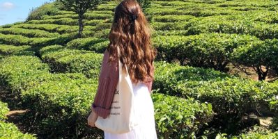 Khám Phá Đồi Chè Cầu Đất Đà Lạt