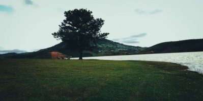 Quên Google Map đi ! Đây mới là đường đi đến Cây Thông Cô Đơn dễ nhất tại Đà Lạt