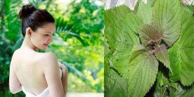 Bất ngờ với loại rau sống ăn hàng ngày có khả năng dưỡng da trắng mịn