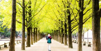 Cùng đến đảo Nami chiêm ngưỡng thời khắc giao mùa