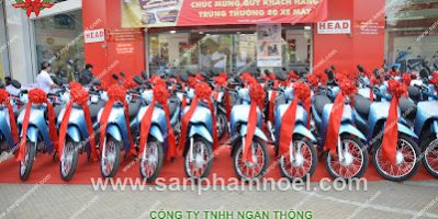 BÁN CÁC LOẠI NƠ TRANG TRÍ CÂY THÔNG NOEL