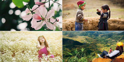 Hành trình du lịch Mộc Châu ngắm Hoa Cải Mộc Châu