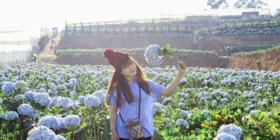 Du lịch khám phá các nông trại ở Đà Lạt