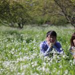 Đến Cao Nguyên Mộc Châu Để Chiêm Ngưỡng Vẻ Đẹp Hoang Sơ Bình Dị Nơi Đây