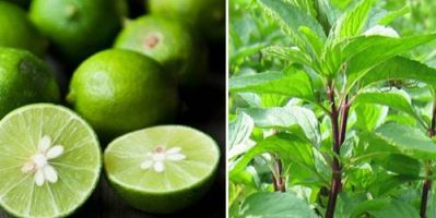 Quẳng Đi Nỗi Lo Nám Da Nhờ Phép Màu Đến Từ Thiên Nhiên