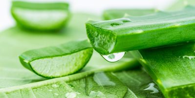 Bất ngờ với cách làm kem dưỡng trắng da từ nha đam ngâm dấm