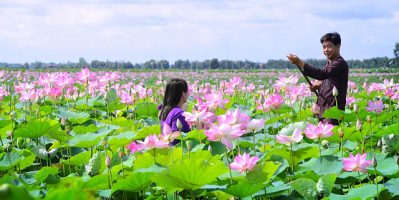 TOUR ĐỒNG THÁP 2 NGÀY 1 ĐÊM