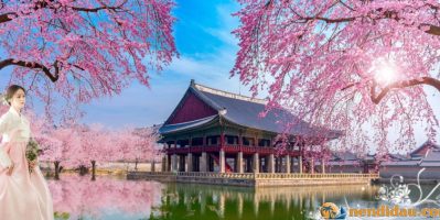 [Tập quán đặc sắc cơ bản của đất nước Hàn Quốc]