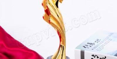 chuyên làm cúp biểu trưng, cúp kỷ niệm chương bằng đồng,cung cấp cup quà tặng giải thưởng