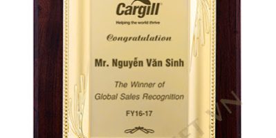 bán biểu trưng gỗ đồng,làm bằng khen vinh danh,sản xuất kỷ niệm chương gỗ đồng