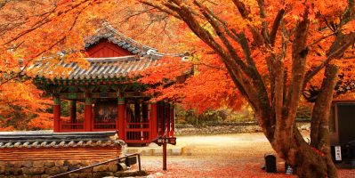 KHÁM PHÁ XỨ PHÙ TANG VỚI WIFI NHẬT BẢN SAMURAI