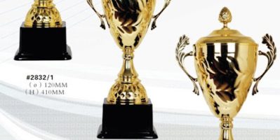 Cúp ngôi sao, cúp lưu niệm, bán cúp kỷ niệm chương đồng, sản xuất cúp s