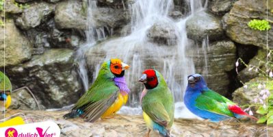 Du Lịch Singapore Tết Nguyên Đán 2020