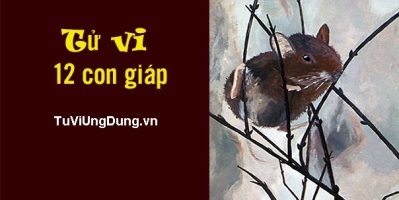 Các ý niệm về tử vi hàng ngày thường thấy