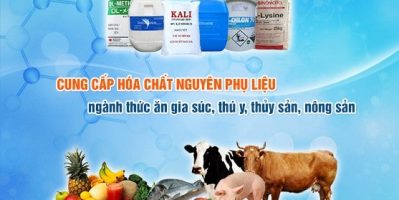 Mua hóa chất ở đâu, nguyên liệu thức ăn chăn nuôi ở đâu?
