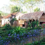 Top 5 Homestay Ngay Gần Hà Nội Cho Nhóm Mà Không Phải Ai Cũng Biết