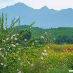 Cùng Du Lịch Quanh Ba Vì Khám Phá Những Địa Điểm Đẹp