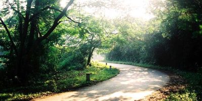 Mách Nhỏ Kinh Nghiệm Đi Vườn Quốc Gia Ba Vì Bằng Ô Tô