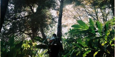 Kinh Nghiệm Leo Nhìu Cồ San – Đỉnh Núi Cao Thứ 9 Ở Việt Nam