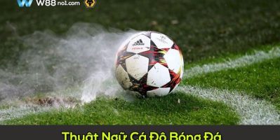 Tìm hiểu cách đọc kèo bóng đá đơn giản