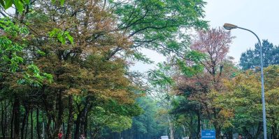 Du Lịch Ba Vì Có Gì?