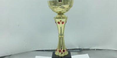 làm cúp trao tặng doanh nghiệp,cúp tặng doanh nhân, cá nhân xuất sắc giá rẻ