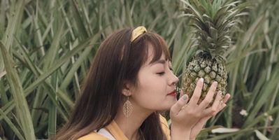 Sống ảo tại đồng dứa Đồng Giao FREE hoàn toàn vé vào cửa