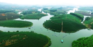 Khám Phá Ốc Đảo Chè Thanh Chương