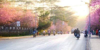 Kinh Nghiệm Du Lịch Đà Lạt Toàn Tập – Ăn Gì – Ở Đâu.