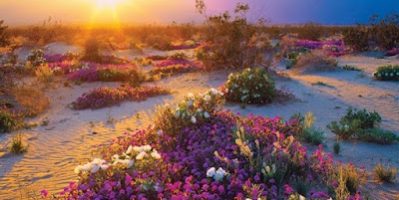 Khám Phatrari Nghiệm Ngắm Mặt Trời Lặn Tại Thung Lũng Chết