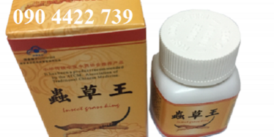 Thuốc sinh lý nam tốt nhất hiện nay – Trùng thảo vương