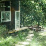 HOMESTAY ÁP MÁI Đà Lạt đẹp như phim Hàn Quốc