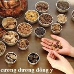 TOP 3 loại thuốc tăng cường sinh lý nam đông y tốt nhất