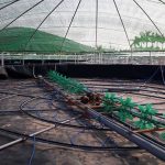 [Phần 1]Trị giá màng chống thấm HDPE khi làm ao hồ cá