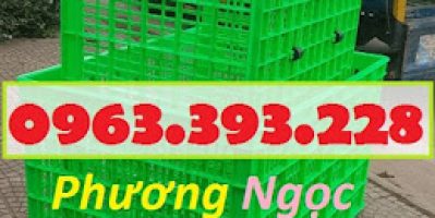 Sóng nhựa rỗng HS015, sọt nhựa đựng hàng 26 bánh xe, sọt nhựa kích thước lớn, sóng nhựa công nghiệp