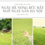 Giữa Những Ngày Hè Nóng Bức Bất Ngờ Ngay Gần Hà Nội Xuất Hiện Điểm Du Lịch Mới Toanh