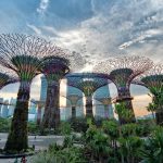 Kinh nghiệm đi Garden By The Bay Singapore chi tiết và Giá vé