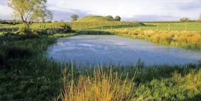 Việc xây ao cá từ màng chống thấm HDPE dễ và khó?