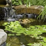 [Phần 1] Mỹ chuộng màng chống thấm HDPE làm ao cá