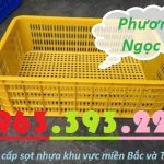Sóng nhựa hở HS009, sọt nhựa rỗng HS009 cao 19, sóng nhựa công nghiệp, thùng nhựa rỗng