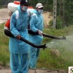 Quy trình phòng chống mối công trình và mẹo phòng chống mối cho đồ gỗ